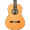 Top 10 ???? Cordoba Cordoba Solista CD/IN Acoustic Nylon String Classical Guitar ❤️ -Cordoba shop 515597000000000 00 1400x1400 1