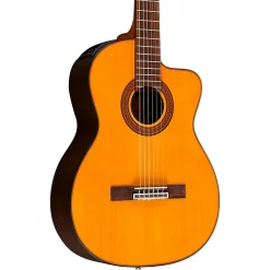 Brand new ✨ Takamine Takamine GC5CE Classical Acoustic-Electric Guitar ????